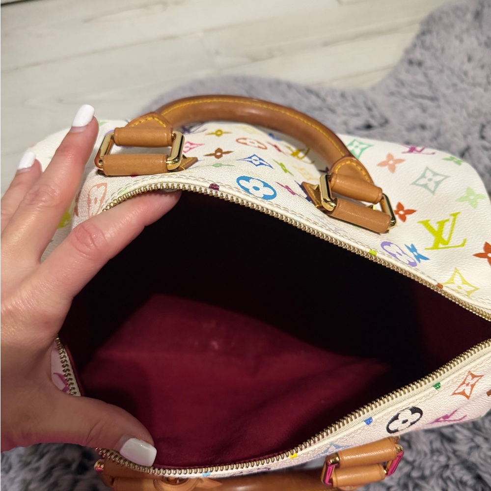Louis Vuitton Multicolor Speedy 30 - Picture 14 of 17